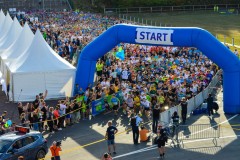 Der Lauf 2022 - 006