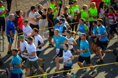 Der Lauf 2022 - 014
