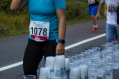 Der Lauf 2022 - 047