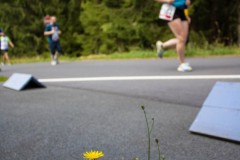 Der Lauf 2022 - 060