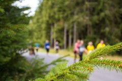 Der Lauf 2022 - 062