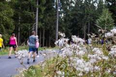 Der Lauf 2022 - 065