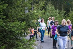 Der Lauf 2022 - 100