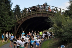 Strecke 2019 - 006