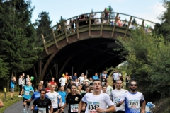Strecke 2019 - 008