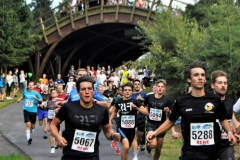 Strecke 2019 - 009