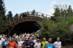 Strecke 2019 - 012