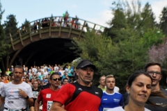 Strecke 2019 - 014