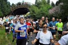 Strecke 2019 - 028