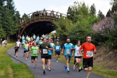 Strecke 2019 - 030