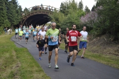 Strecke 2019 - 031