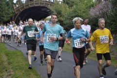 Strecke 2019 - 033