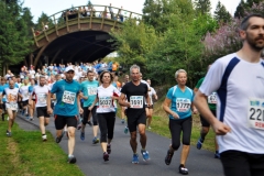 Strecke 2019 - 034
