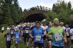 Strecke 2019 - 035