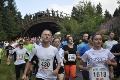Strecke 2019 - 036