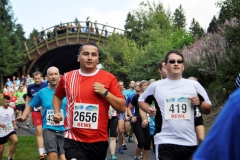 Strecke 2019 - 037