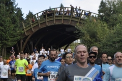 Strecke 2019 - 038