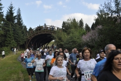 Strecke 2019 - 039