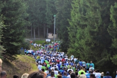 Strecke 2019 - 041
