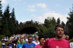 Strecke 2019 - 043