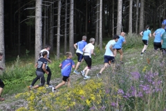 Strecke 2019 - 049