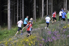 Strecke 2019 - 050