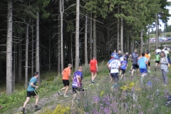 Strecke 2019 - 052