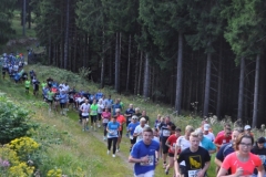 Strecke 2019 - 053