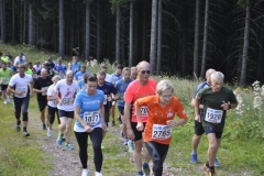 Strecke 2019 - 055