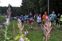 Strecke 2019 - 065