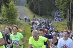 Strecke 2019 - 072