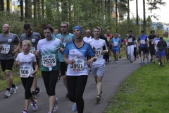 Strecke 2019 - 074