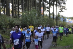 Strecke 2019 - 100