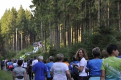 Strecke 2019 - 104