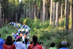 Strecke 2019 - 105