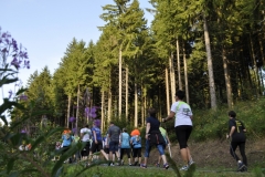 Strecke 2019 - 111