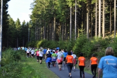 Strecke 2019 - 116
