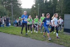 Strecke 2019 - 120