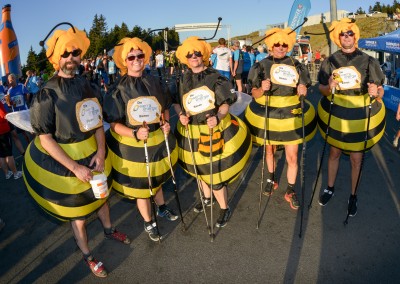 Team von Werra Energie Bad Salzungen in Bienen-Kostümen beim Thüringer Wald Firmenlauf 2016