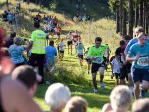Läufer beim Thüringer Wald Firmenlauf 2016 auf der Strecke quer durch den Wald,