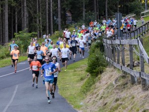 Läufer beim Thüringer Wald Firmenlauf 2016 auf der Strecke