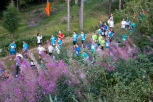 Läuferfeld beim Thüringer Wald Firmenlauf in Oberhof
